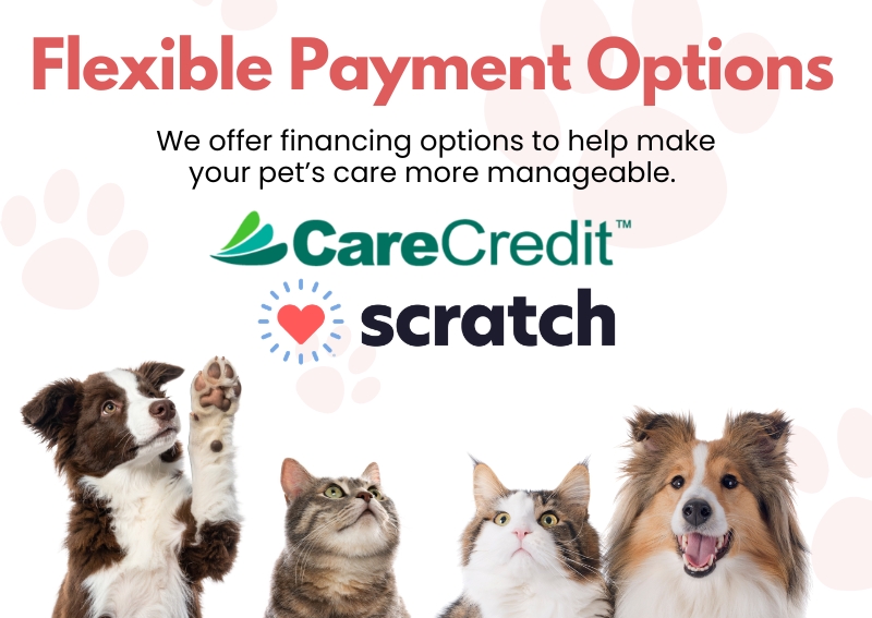Carousel Slide 6: Financing Options
