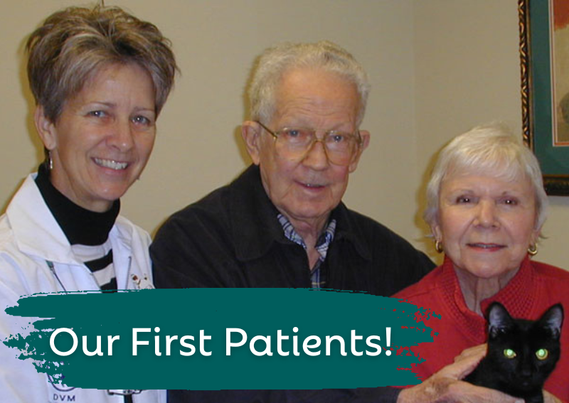 Carousel Slide 3: veterinarians near me